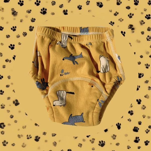 Ropa interior para aprender a ir al baño