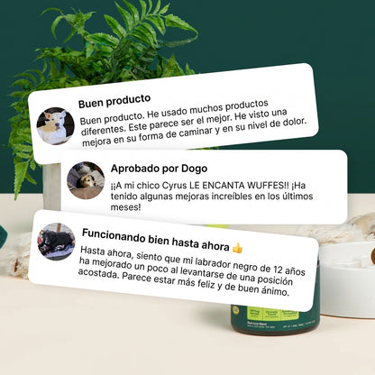 Movivet Suplemento Antiartritis®